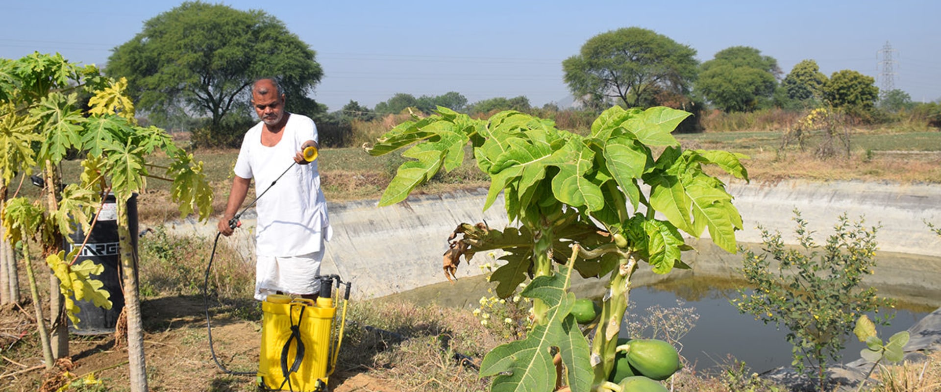 Comparisons of Different Cultivation Methods