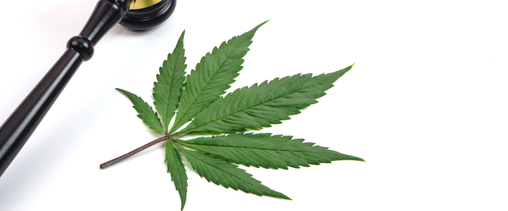 Understanding Local Laws and Regulations around Cannabis Use: Navigating the Digital Age