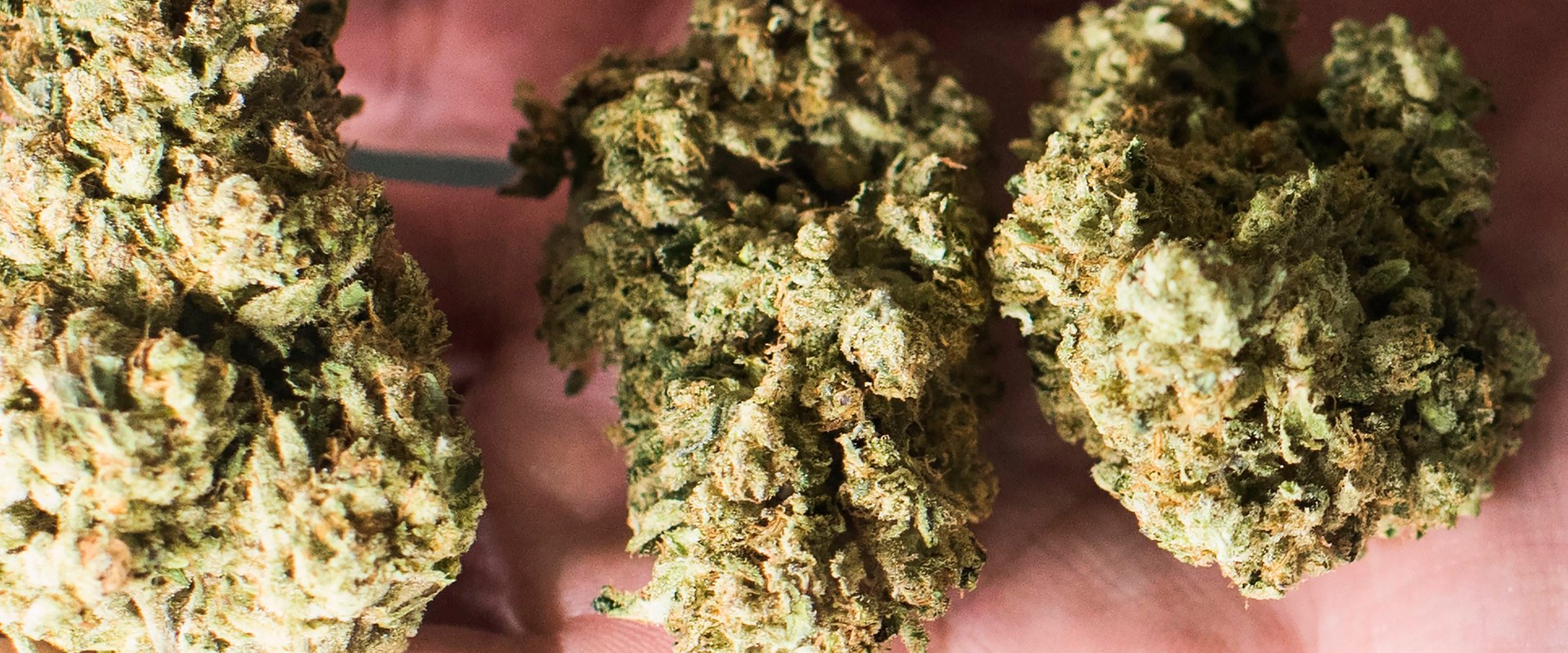 Is cannabis going to be legal in the uk?