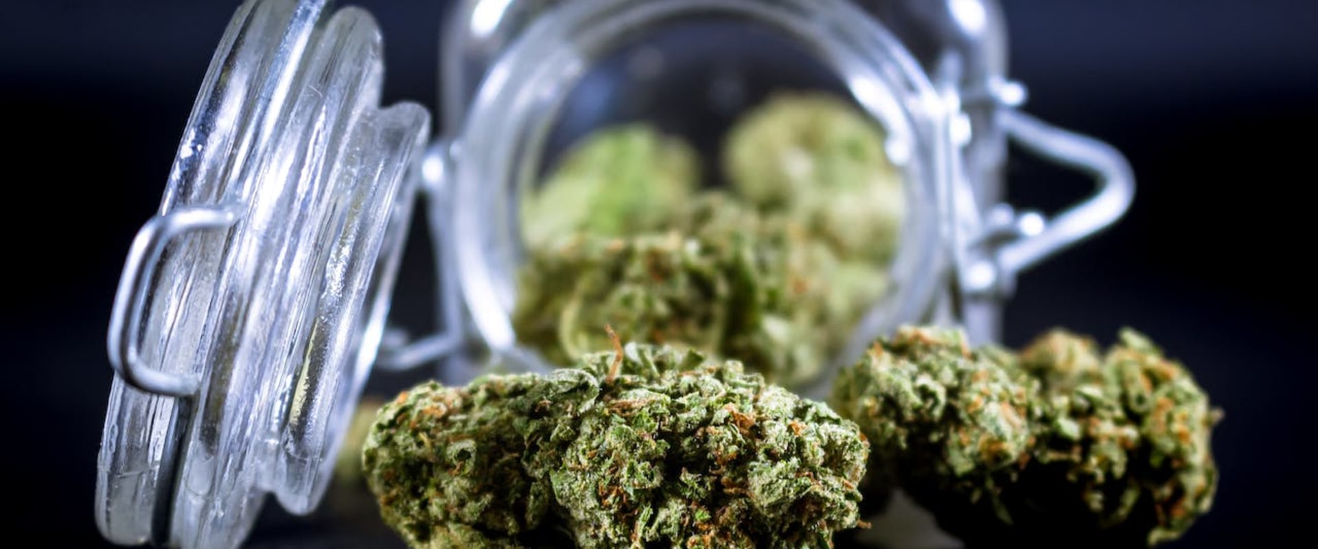 Exploring the Latest Market Trends and Forecasts for the Growing Cannabis Industry
