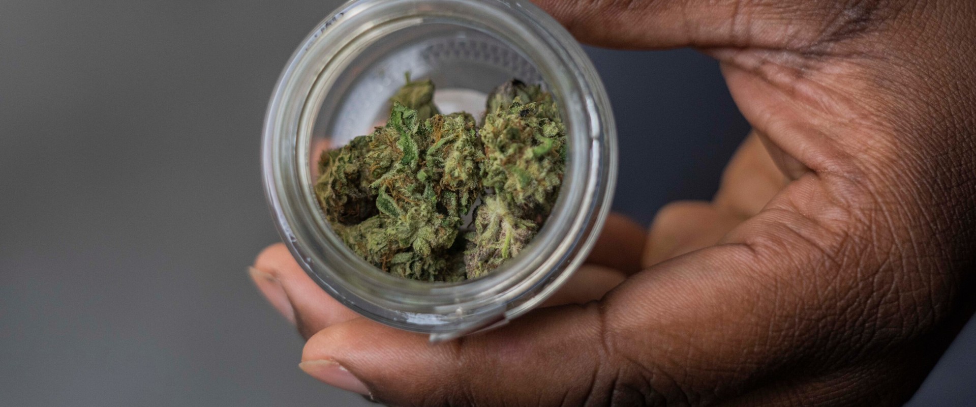 The Digital Age of Cannabis: Understanding Local Regulations and Licensing Processes