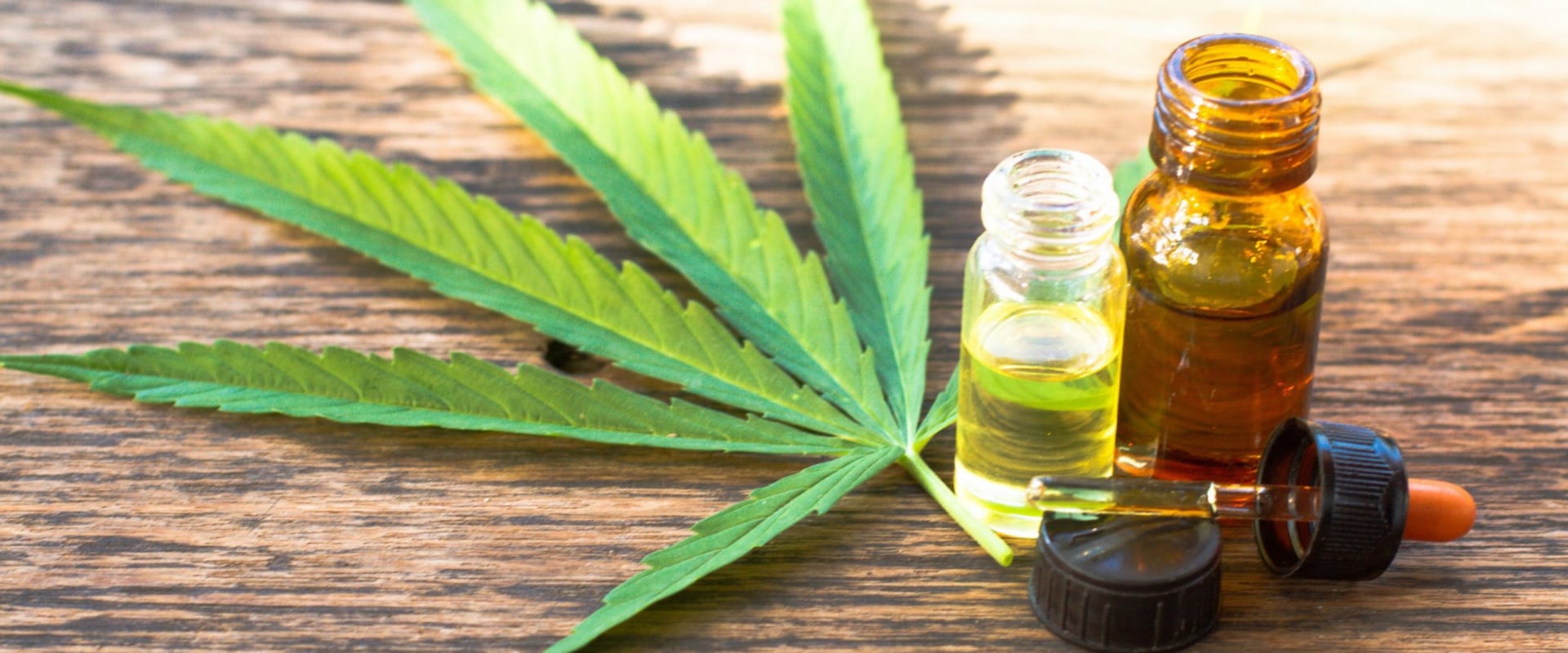 What is the difference between cannabis extract and concentrate?