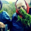 Who is the founder of ISMOKE and what is their background in cannabis?
