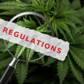 The Importance of Quality Control and Safety in Cannabis Extraction