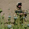 Giving Back to Communities Affected by the War on Drugs: A Comprehensive Guide