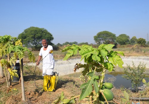 Comparisons of Different Cultivation Methods