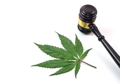 Understanding Local Laws and Regulations around Cannabis Use: Navigating the Digital Age