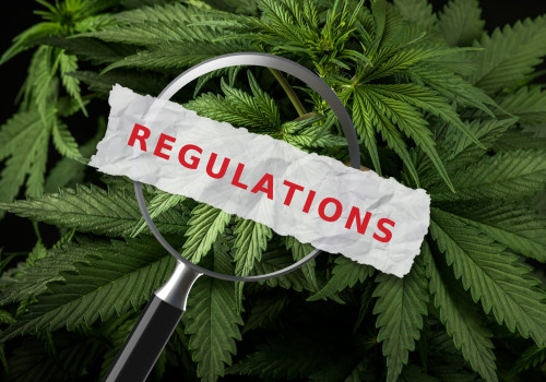 The Importance of Quality Control and Safety in Cannabis Extraction