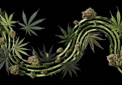 What is the purpose of ISMOKE's cannabis strains guide?