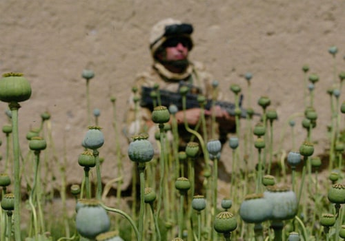 Giving Back to Communities Affected by the War on Drugs: A Comprehensive Guide