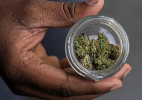 The Digital Age of Cannabis: Understanding Local Regulations and Licensing Processes